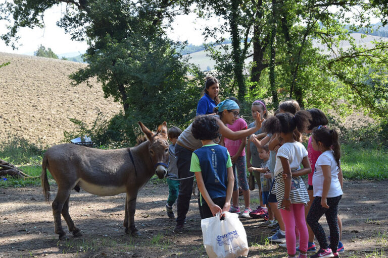 Bambini spazzolano un asino durante un'attivit&agrave; assistita alla Biofattoria L'Upupa