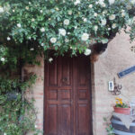 IMG-20230519-WA0022ottimizz
